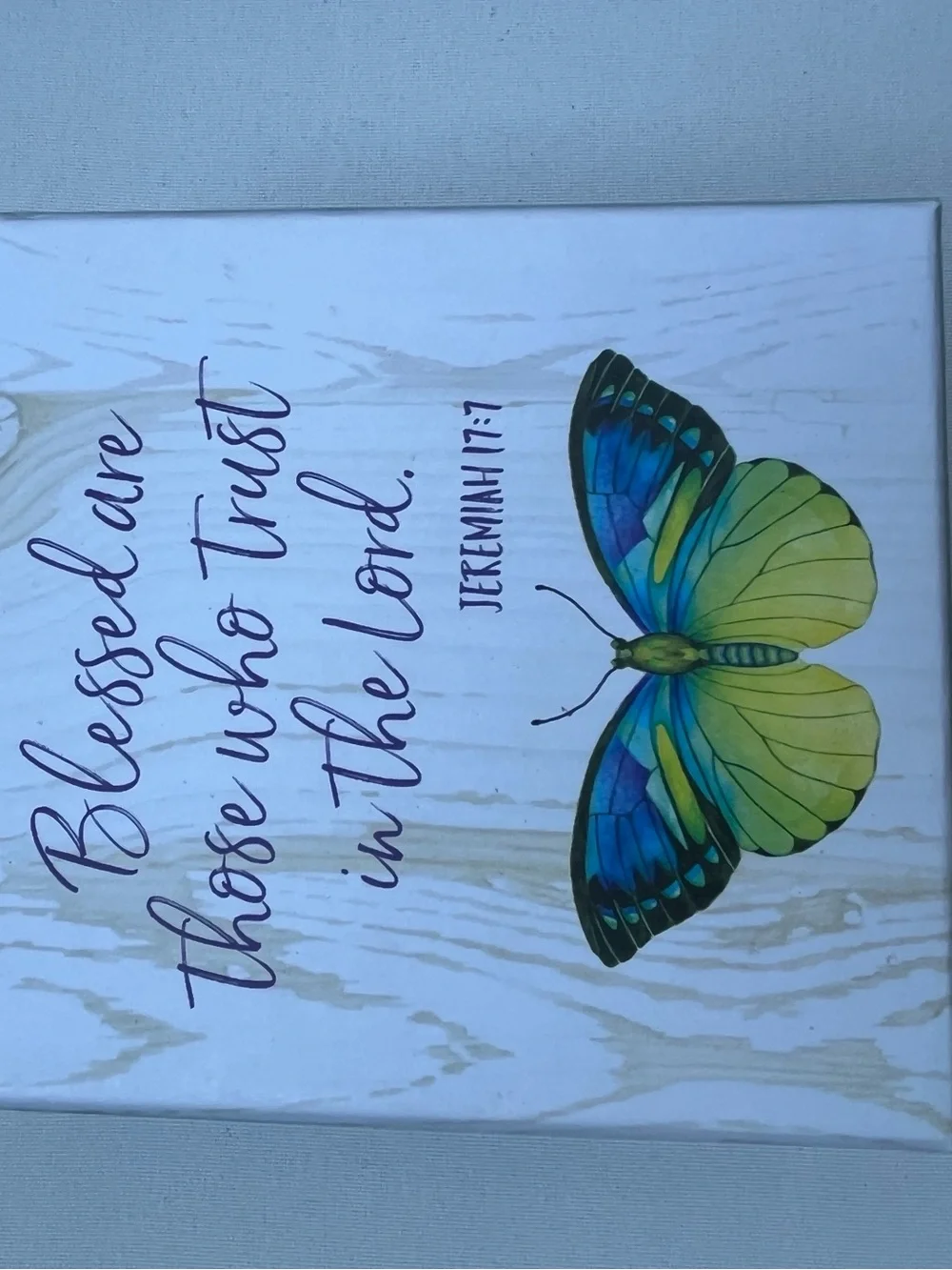 Wall Art Canvas with Green & Blue Butterfly - Inspirational Quote